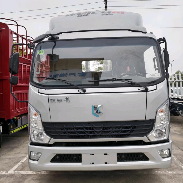 小李说轻卡专业非洲