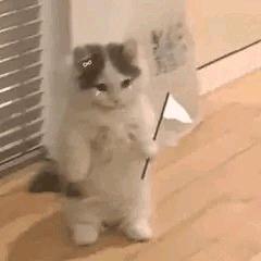 今天没下雨
