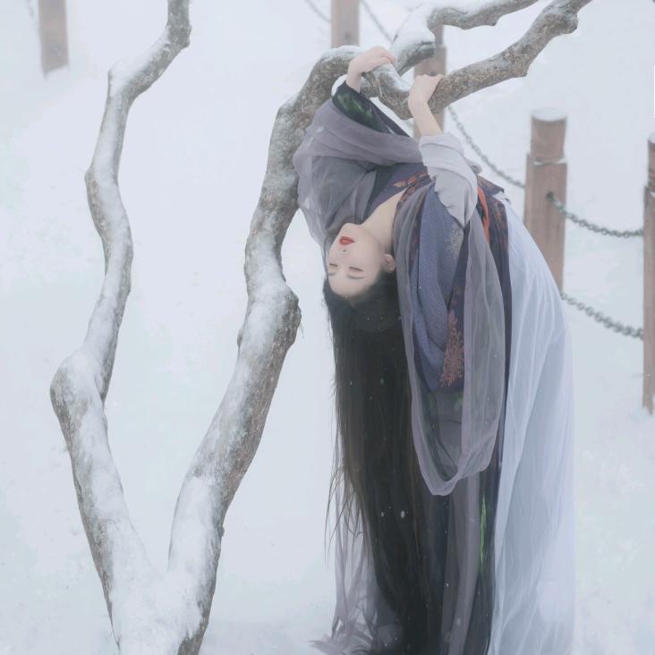 朱照