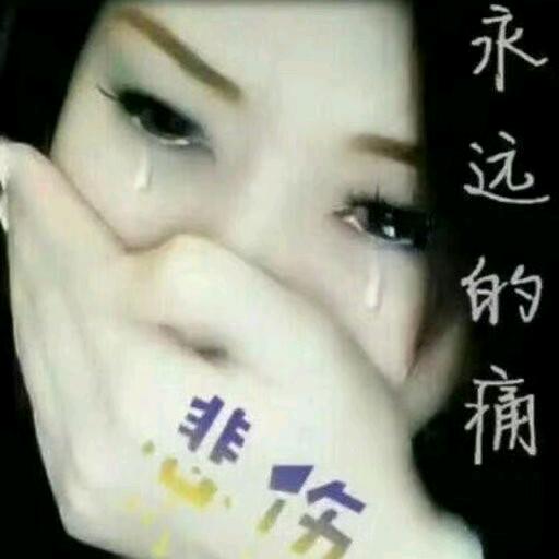 难忘slh