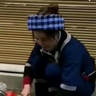 小燕燕