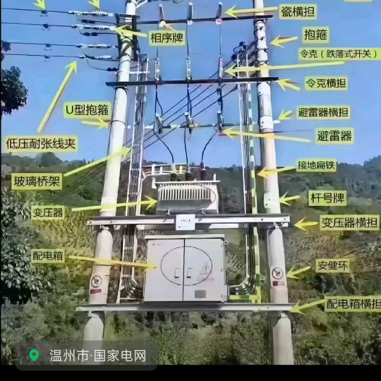 九哥