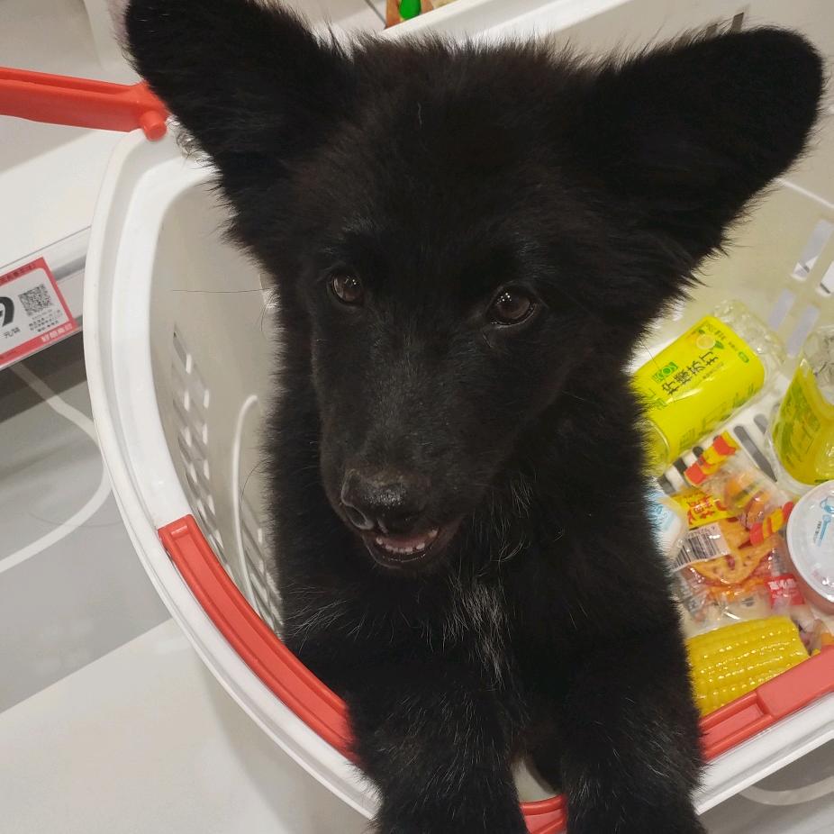 往后余生都是你