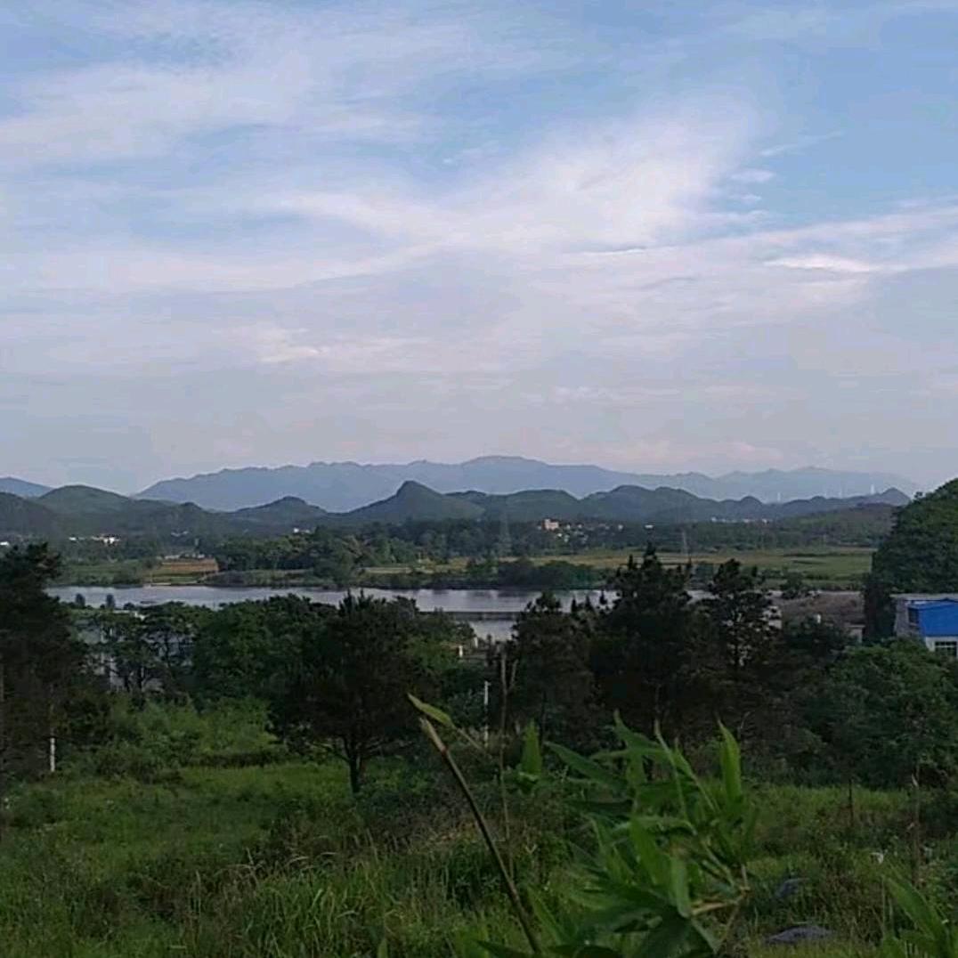郑亦晨