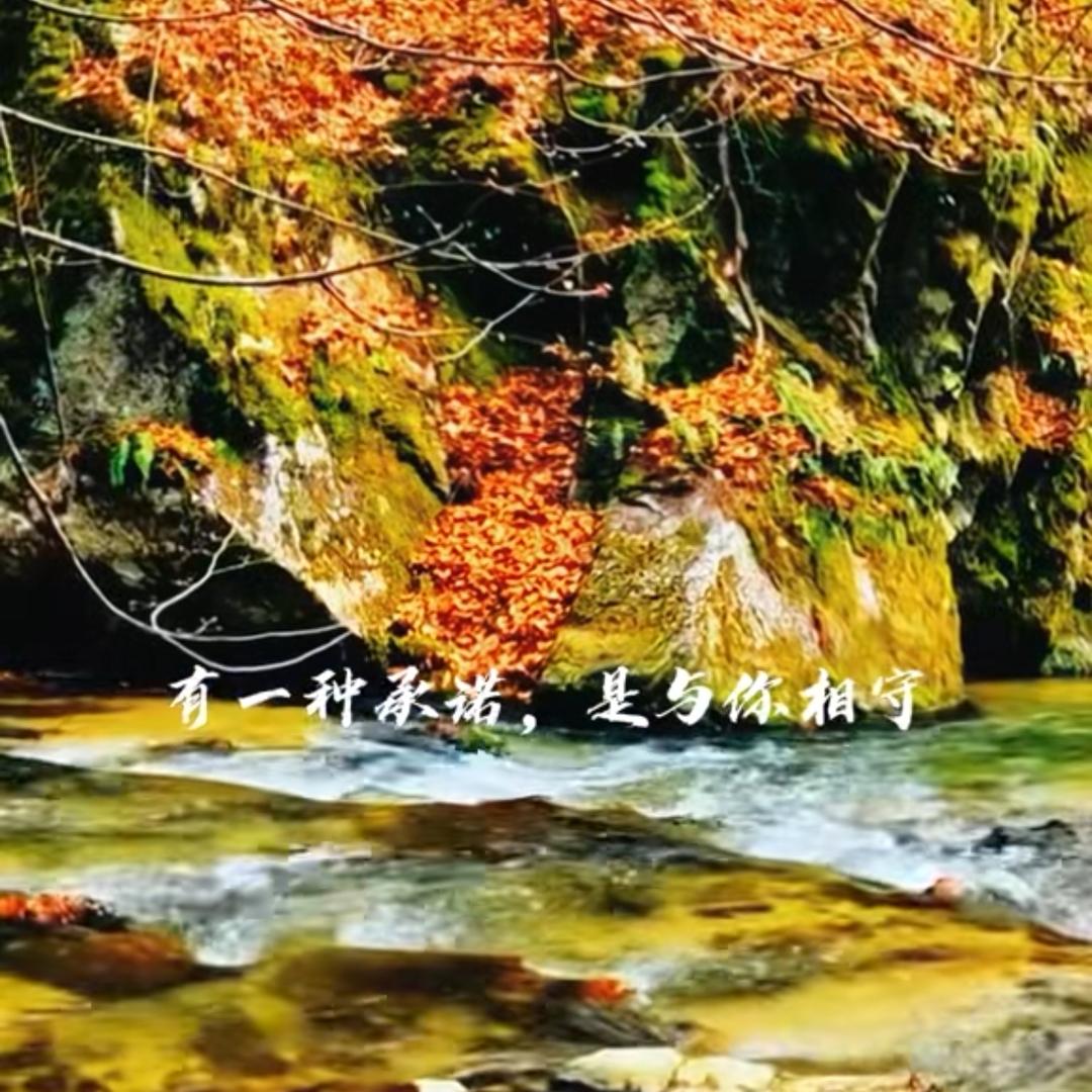 寒冬