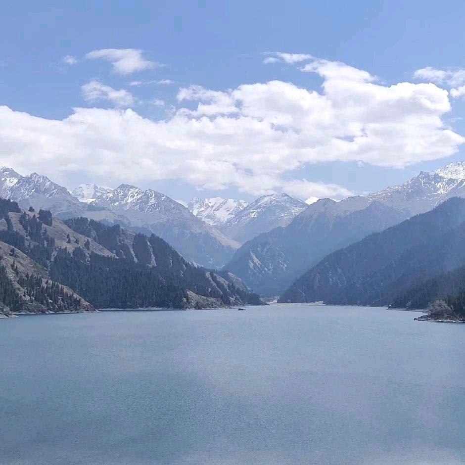 万兔岁