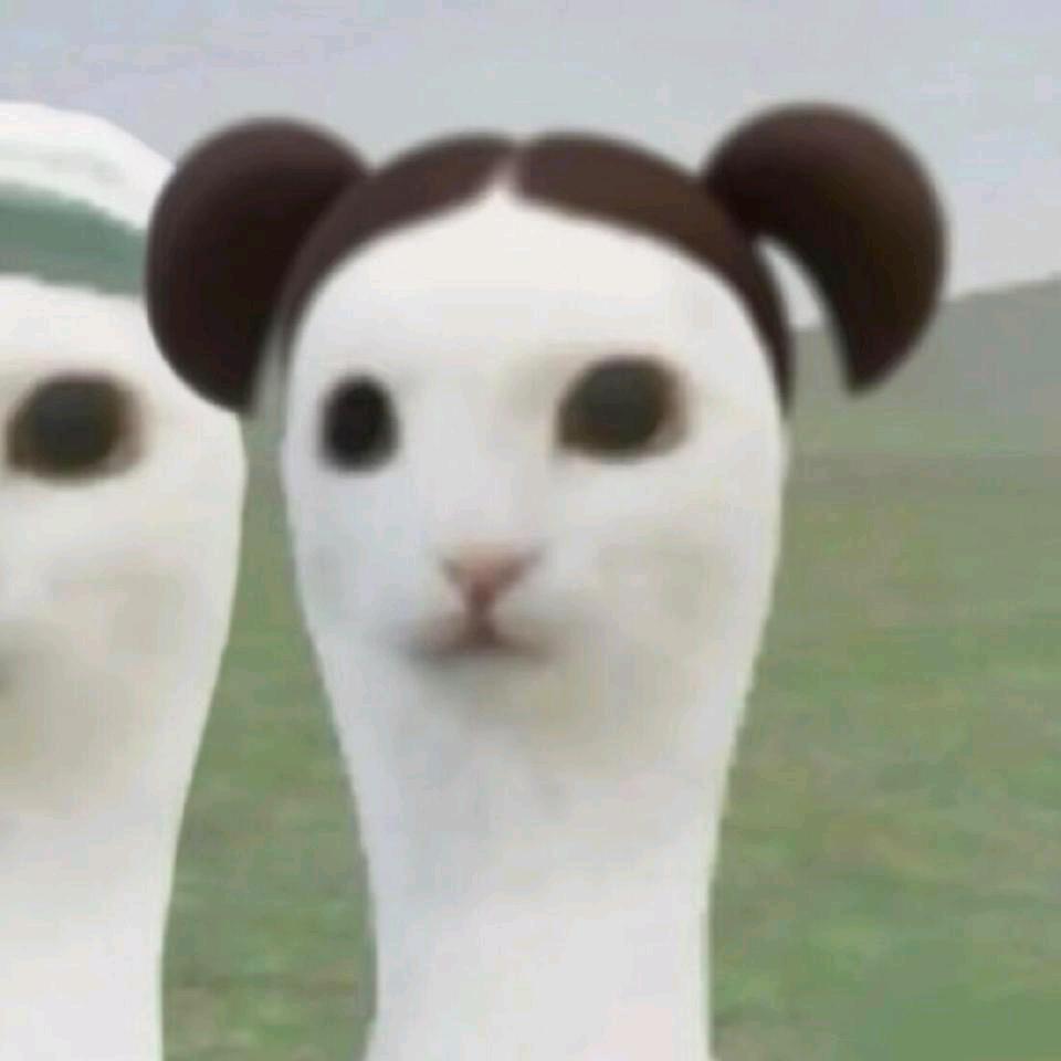雯