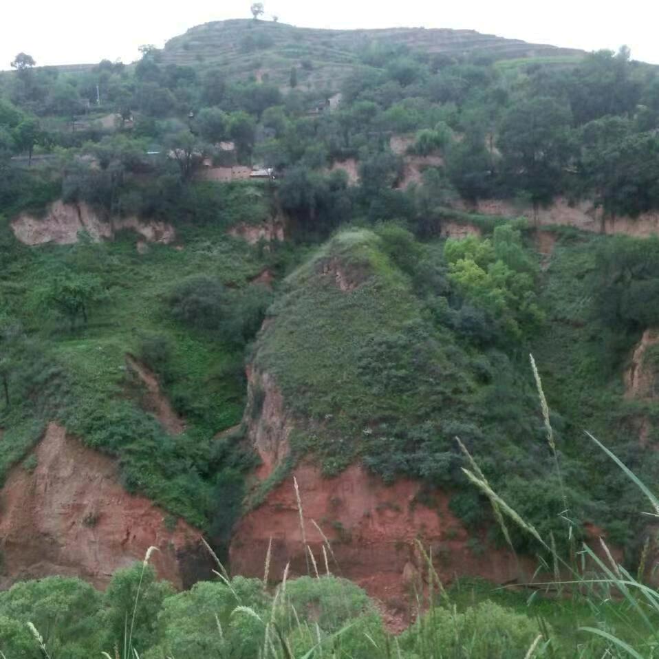 陇西县河坡上殡葬用品服务店