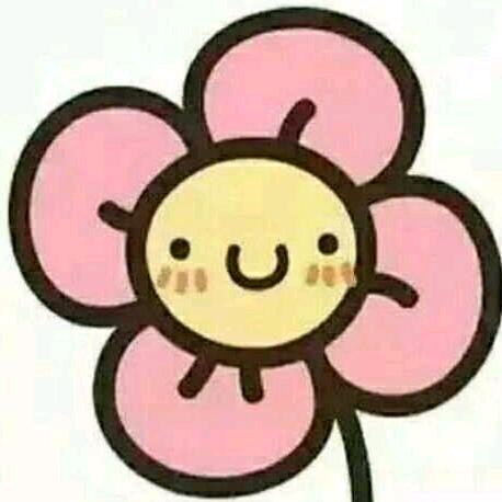 番茄花花子