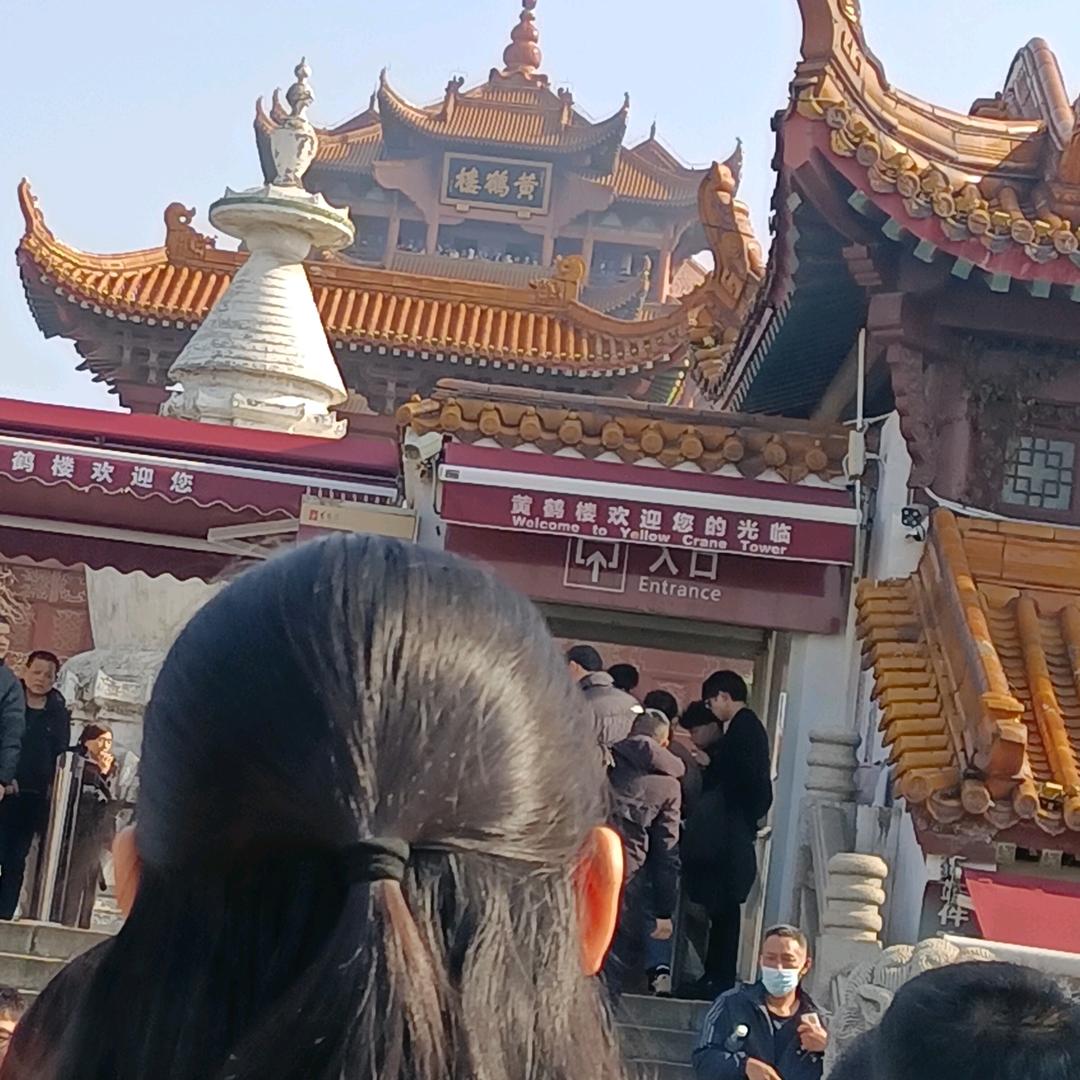 畅游世界