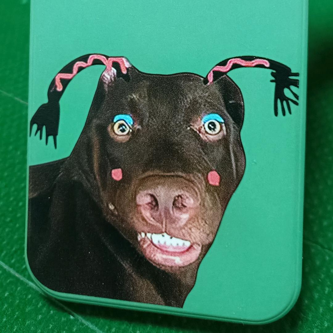 毛毛虫