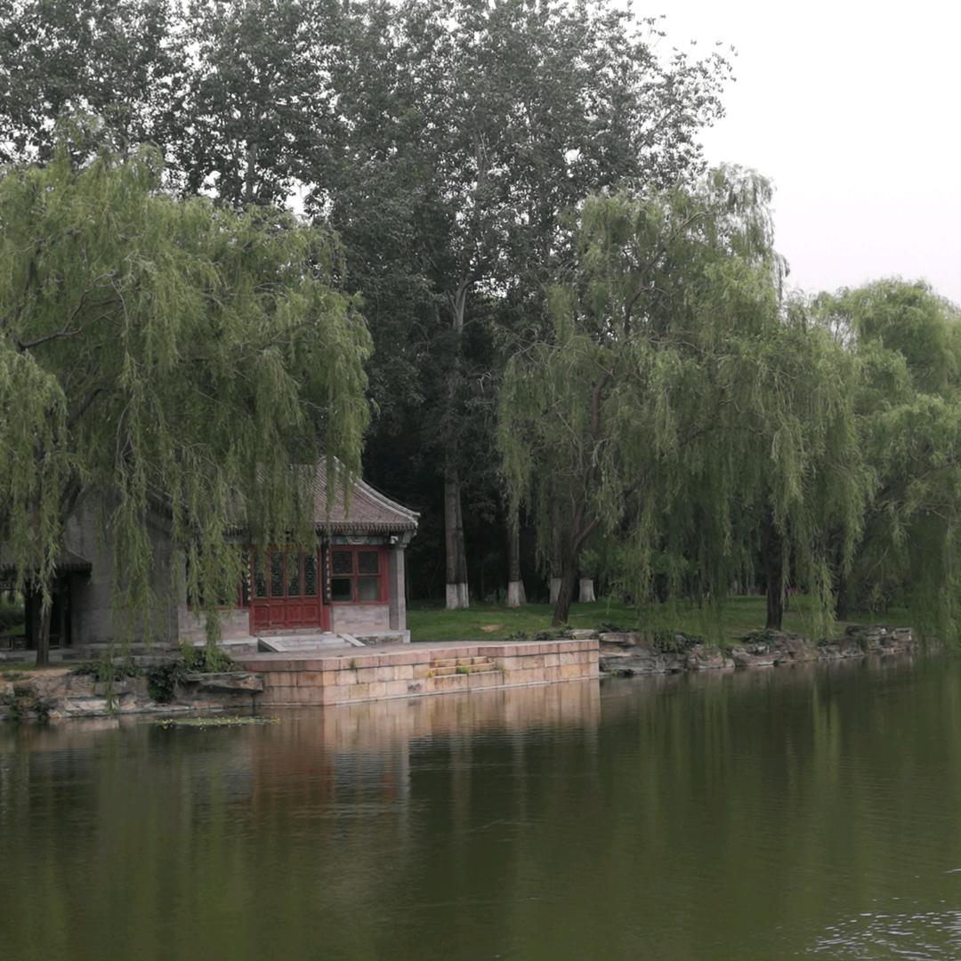 竹林静月