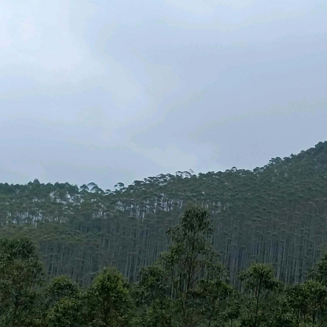 用户6827299215237