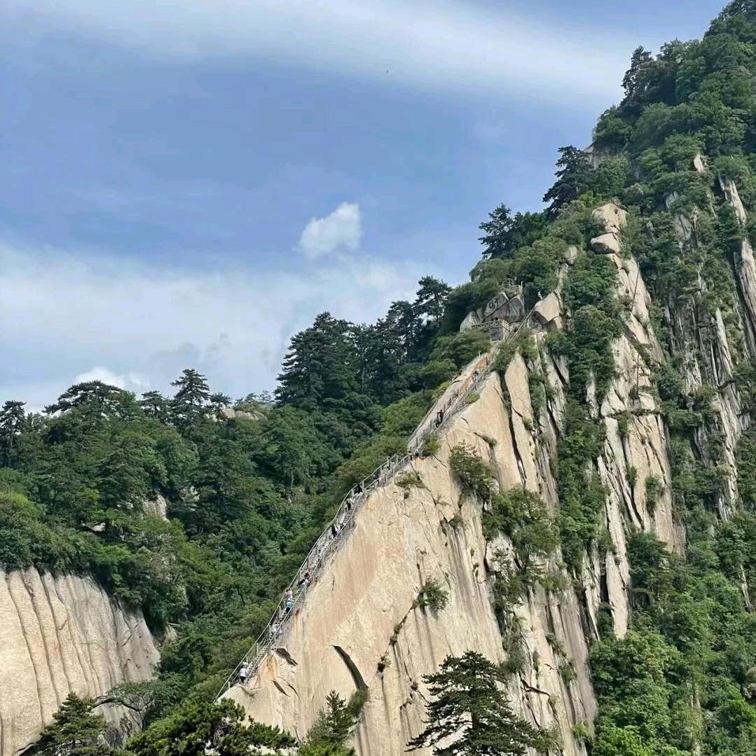 麦麦卡尔迪