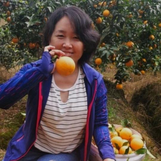 爱尚果果农产品直供