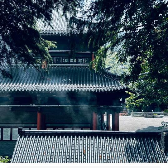 梦动埔甸直播号