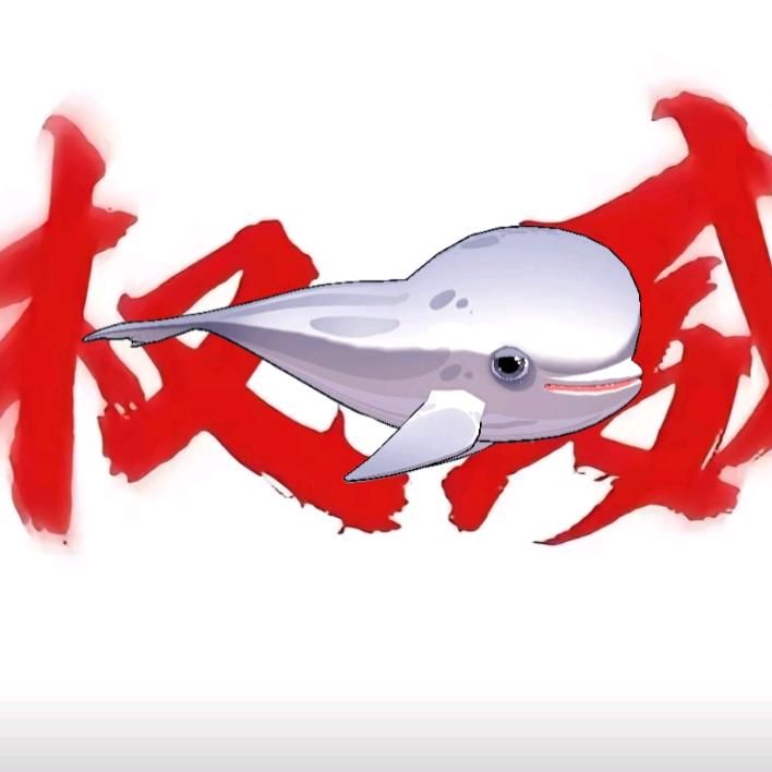 爱玩纸的小张零