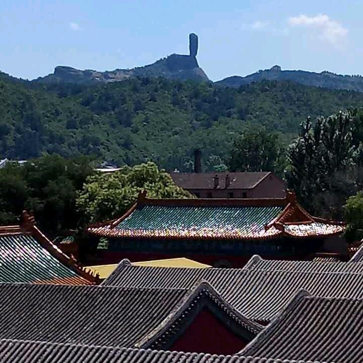 风一样的自由