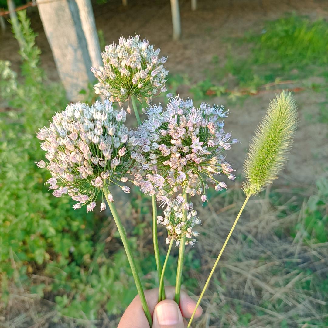 🌈笑看云卷云舒🌈