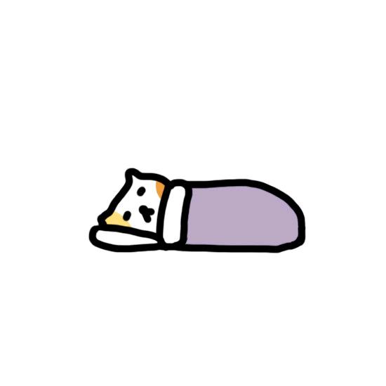 沣高高