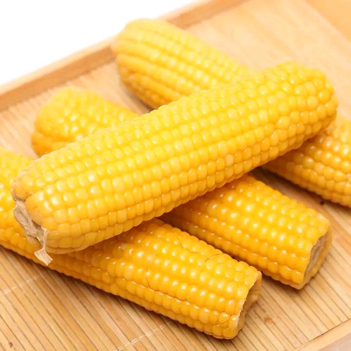 甜甜糯玉米