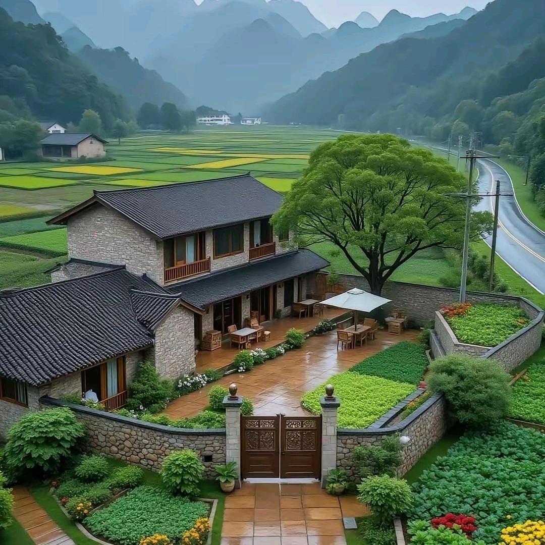 人间草木