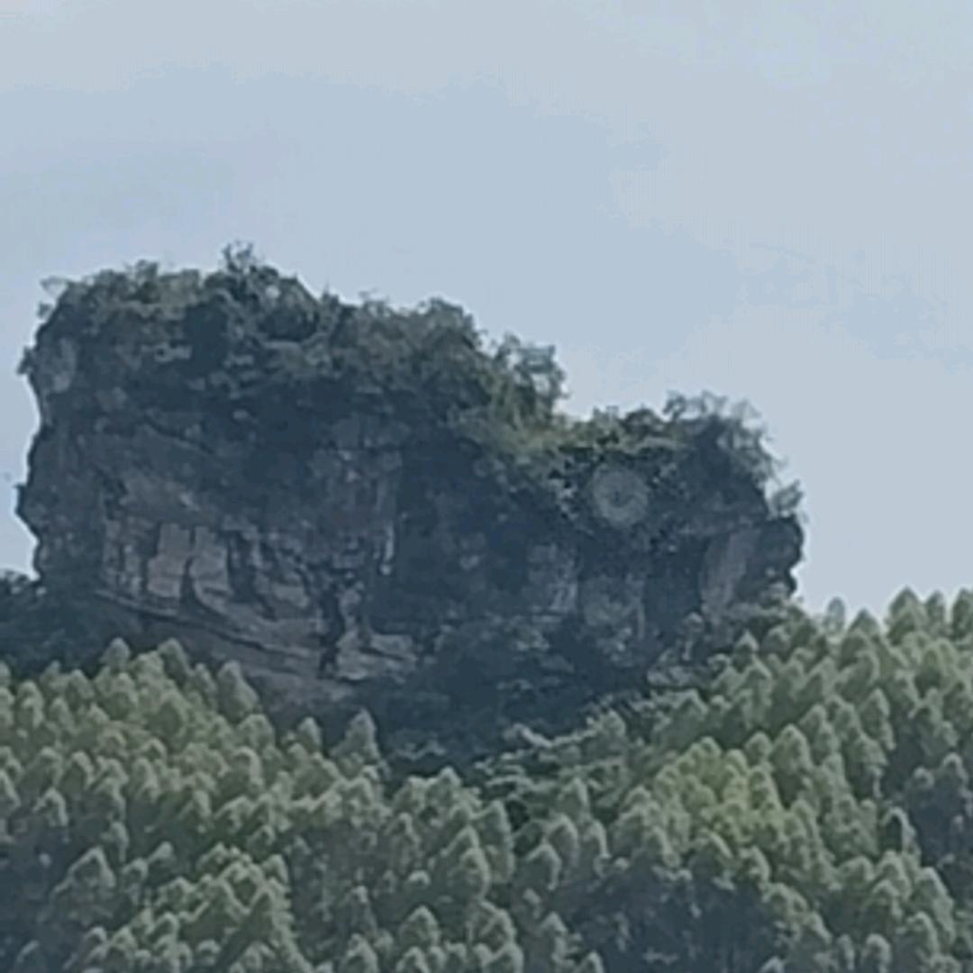 雨后的彩虹
