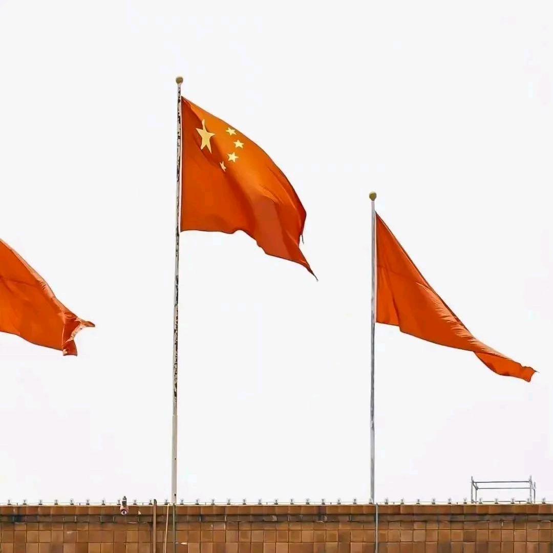 兔子到家☞
