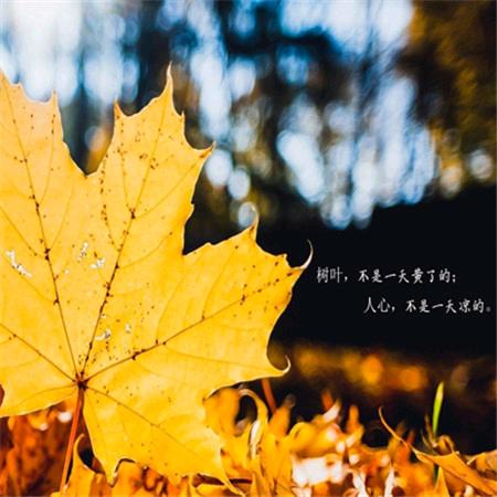 各自安好，互不打扰