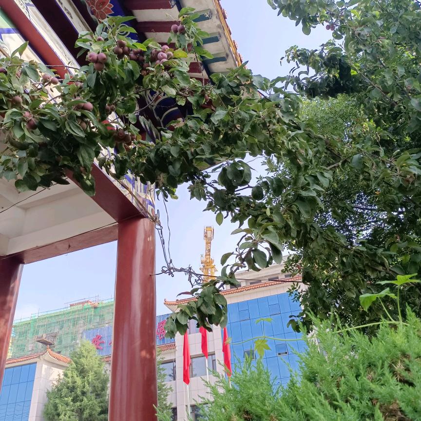 浪慢情天冉幺妹