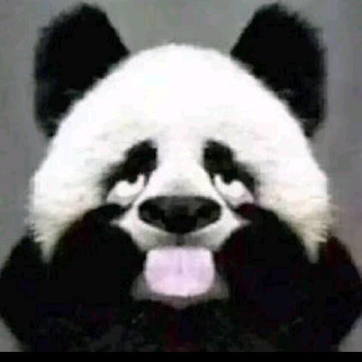 🐼萌二