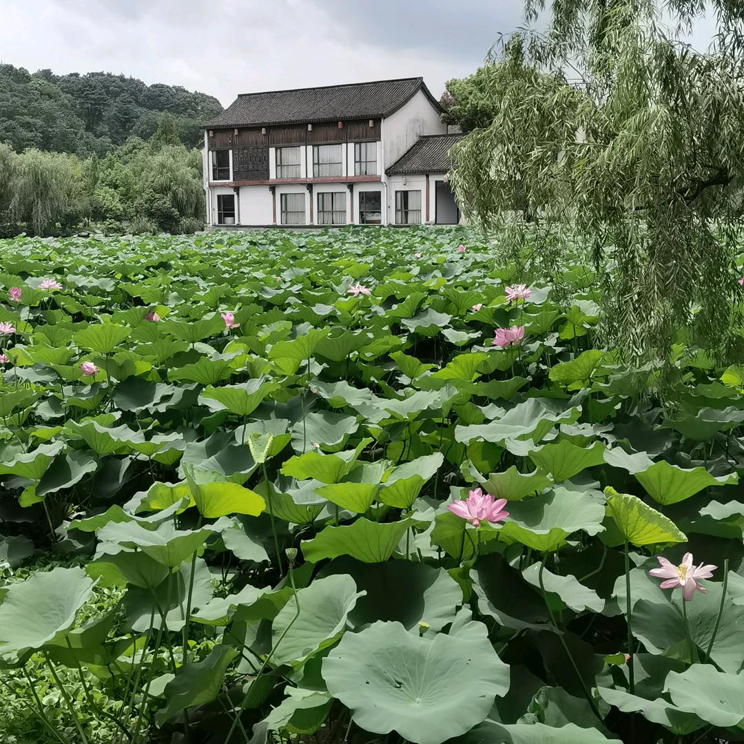静心