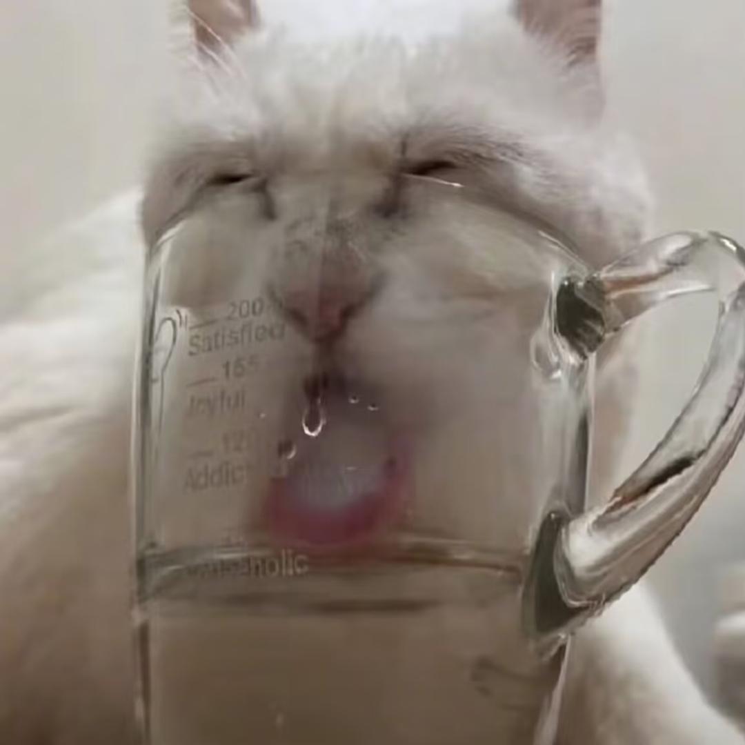 对工作斯德哥尔摩开始享受工作并感觉很爽