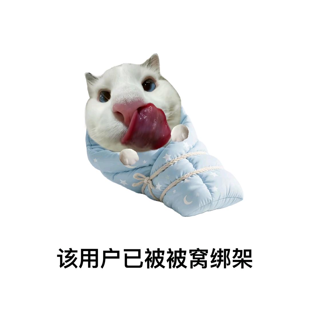 狄
