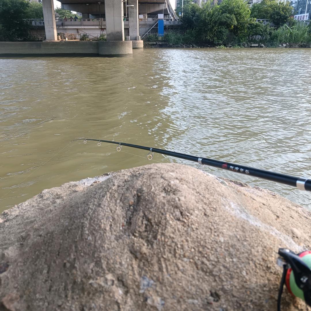 上善若水 放飞梦想