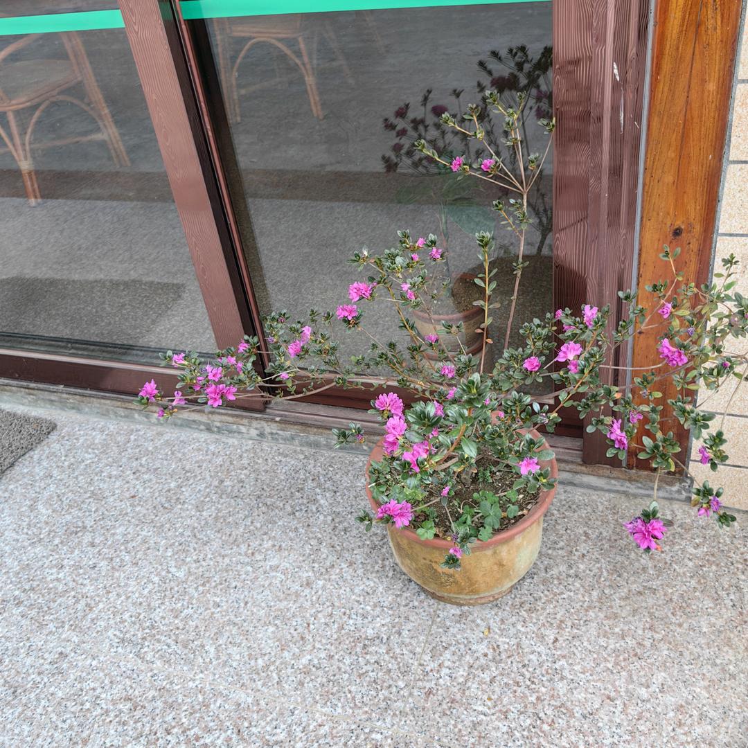 萧家人茶叶与装修