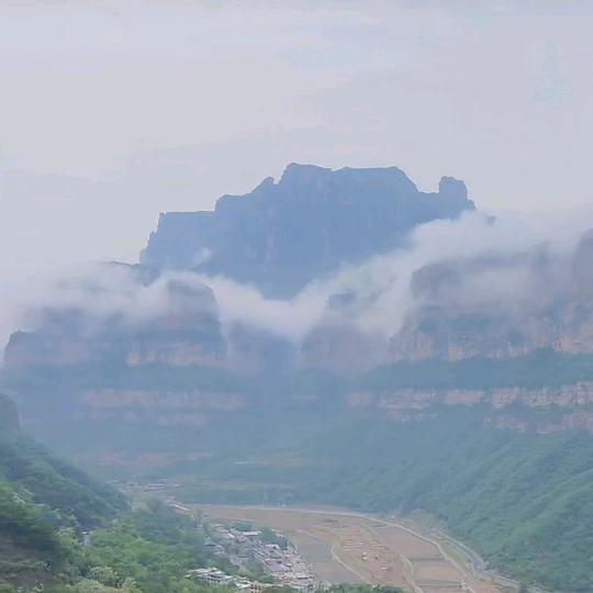 隨  風游