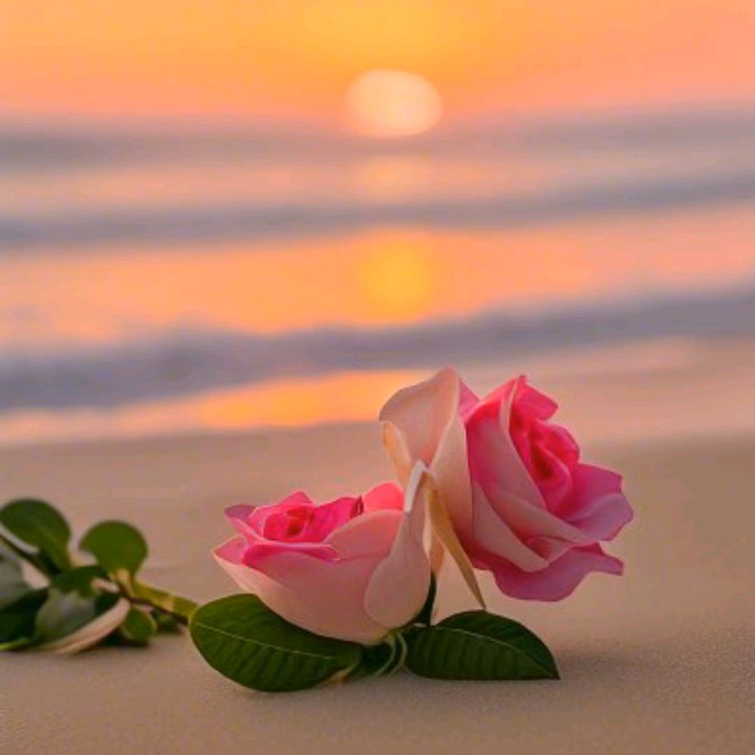 ༊🎊ღ᭄最美的🐵遇ꦿ꯭見꧔ꦿ᭄🎊