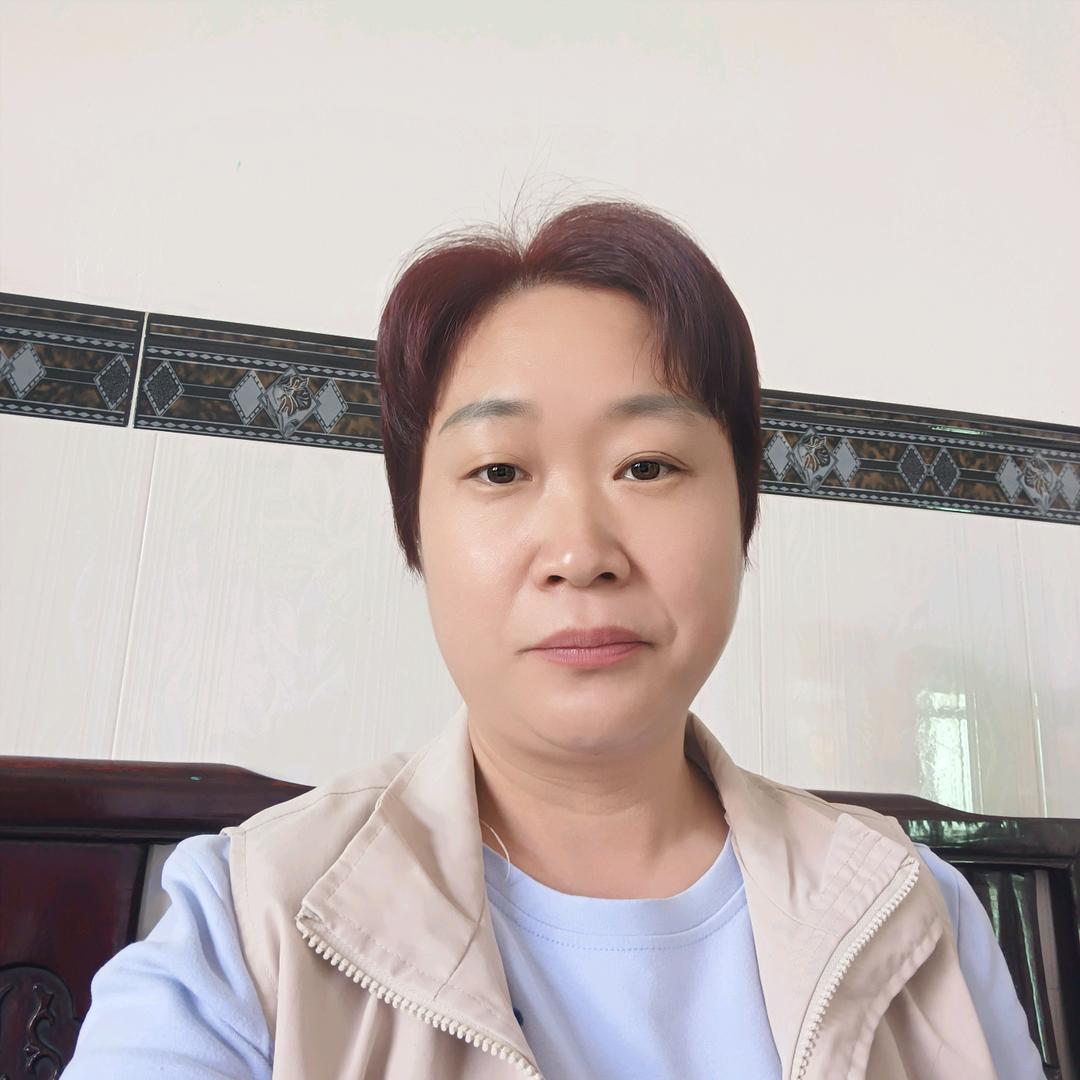 雁南飞