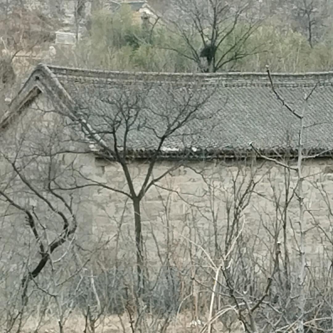 山中人.