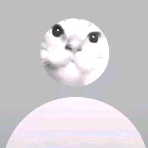 永雏耄耋