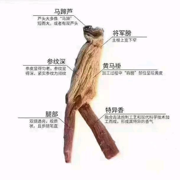 人参小店