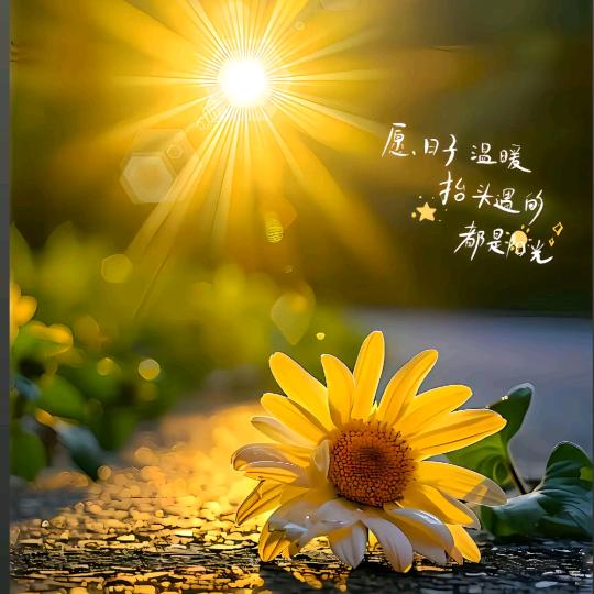 每一棵草都会开花