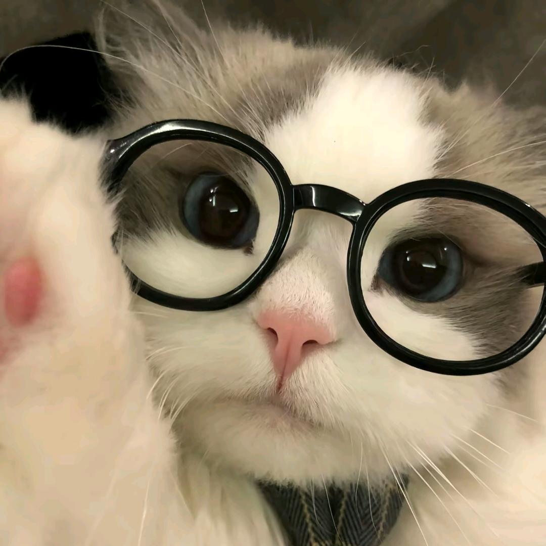 顾世熙