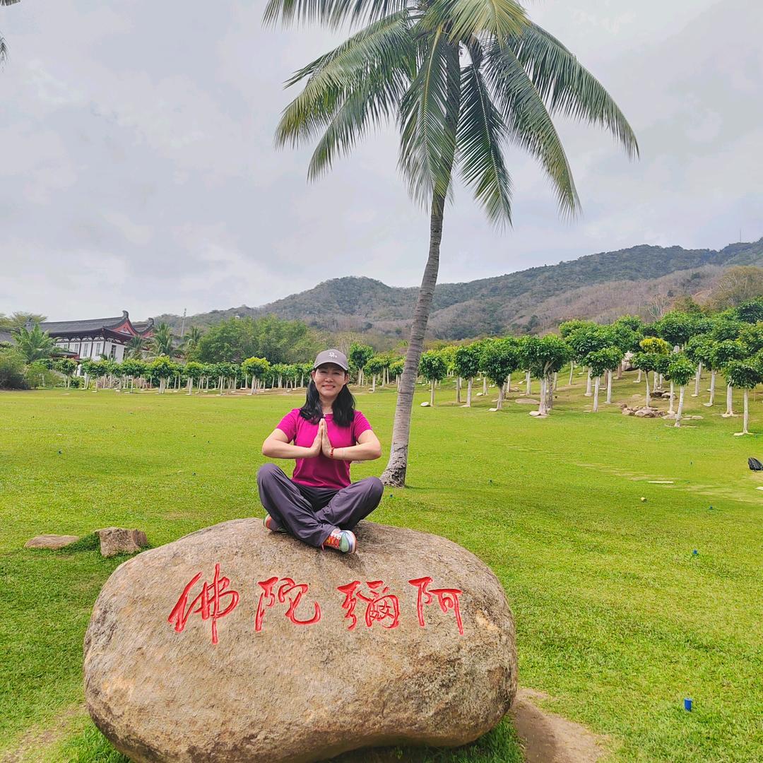 用户梅子（请勿连赞）