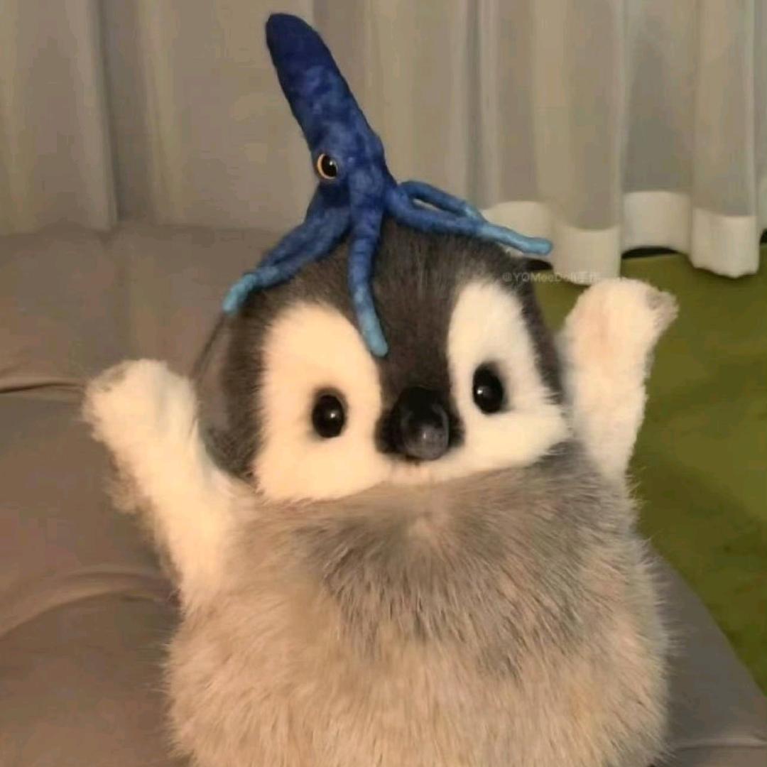 哦呦呵