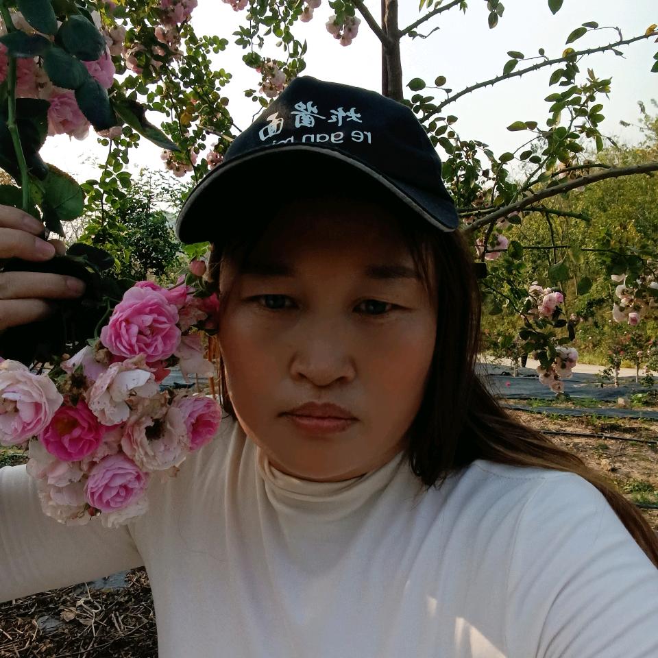 换个梦想天天开心