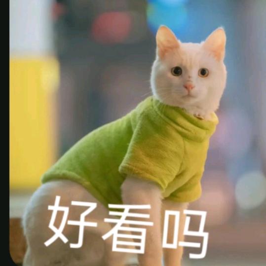 忘记《拒绝私聊》