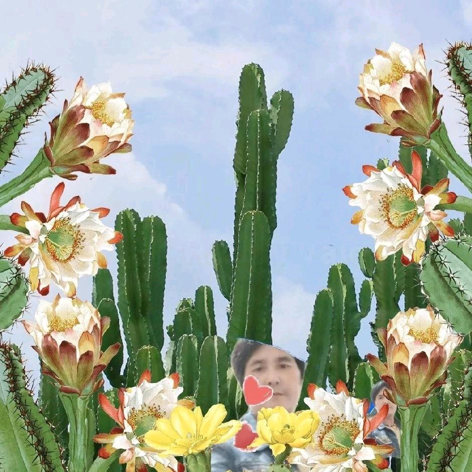 如意姐