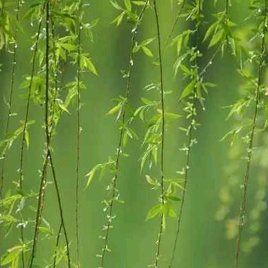 悦里悦气